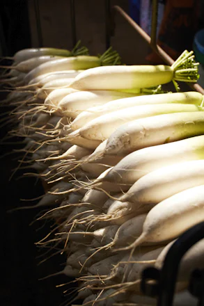 【連載】三浦野菜の作り手を知り、魅力を伝えるデザインプロジェクト 海と向き合いながら、愛情深く育てる